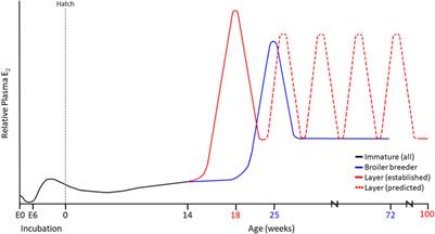 The Diverse Roles of 17β-Estradiol in Non-Gonadal Tissues and Its Consequential Impact on Reproduction in Laying and Broiler Breeder Hens